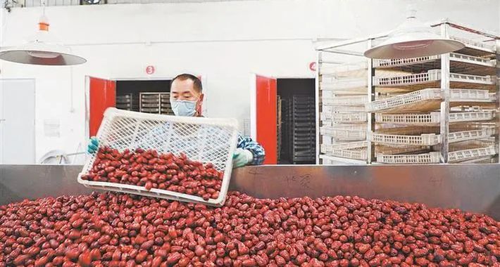 新时代 新征程 新伟业 | 第十四师昆玉市红枣产业发展路径探析