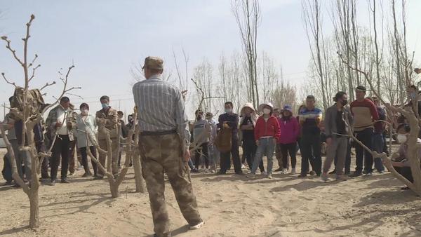 微信图片_20200329045159