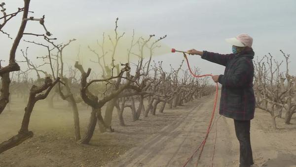 微信图片_20200329045204