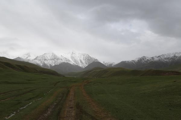 IMG_8434