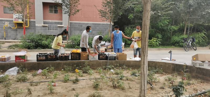 为居民保障蔬菜 水果