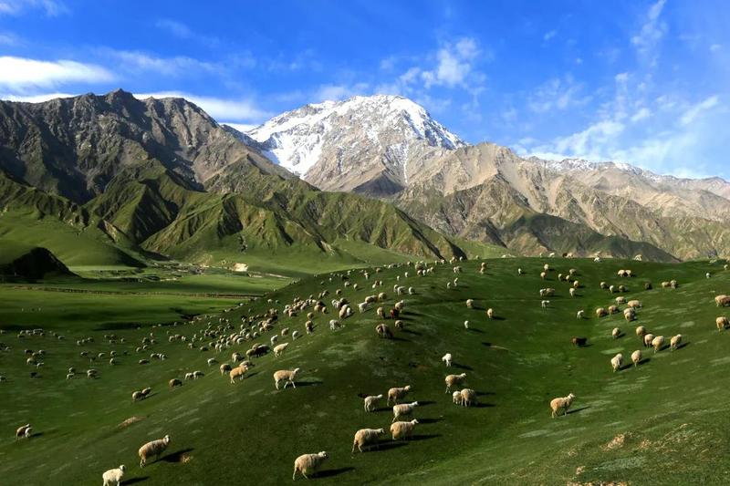 微信图片_20200901195014