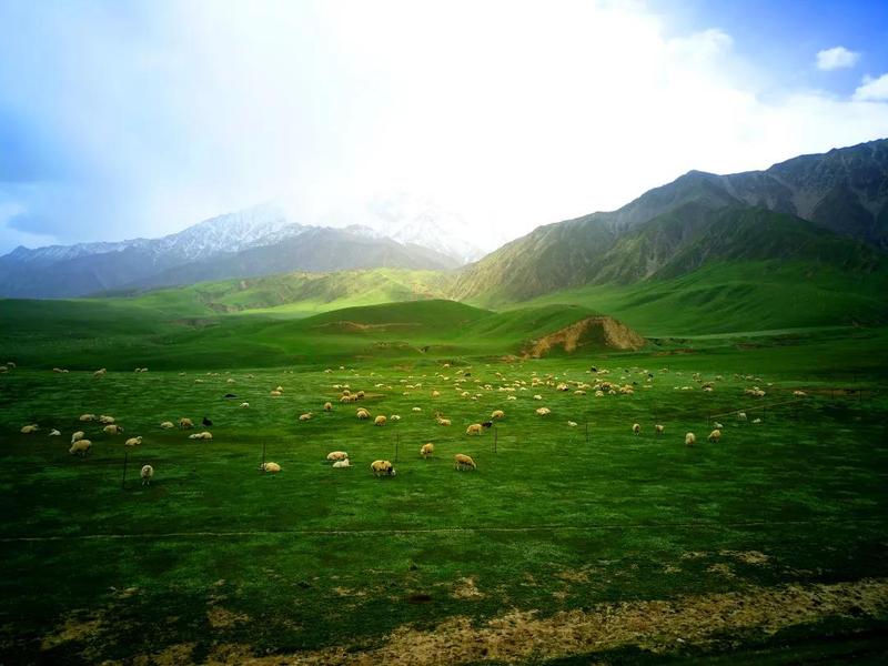 微信图片_20200901195025