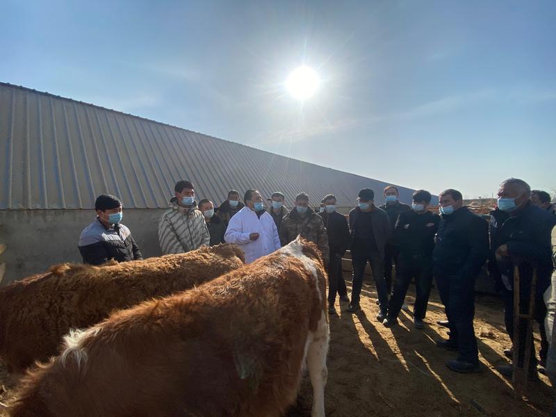 38880697cc6b0d685be1500261de293(1)