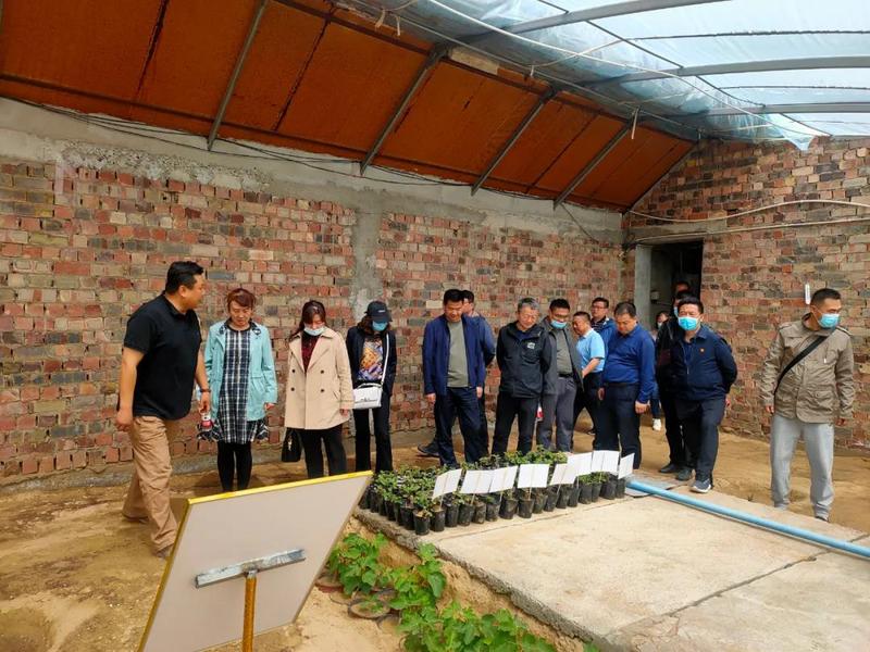 微信图片_20210416102612