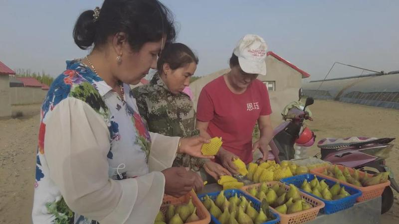 微信图片_20210809103955