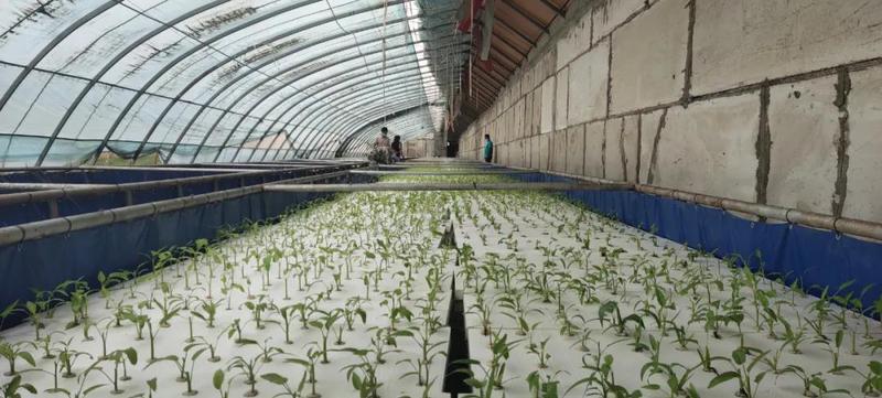 微信图片_20210810103640