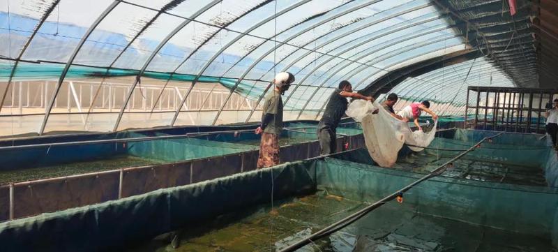 微信图片_20210810103644