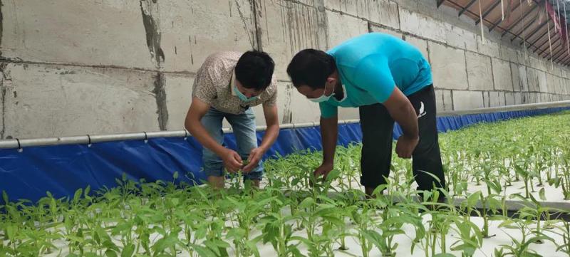 微信图片_20210810103648