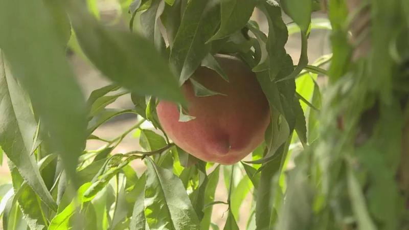 微信图片_20210810120354