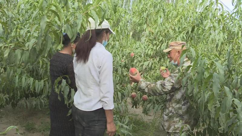 微信图片_20210810120405