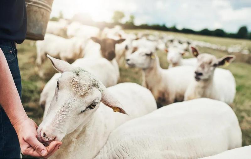 微信图片_20210813192222