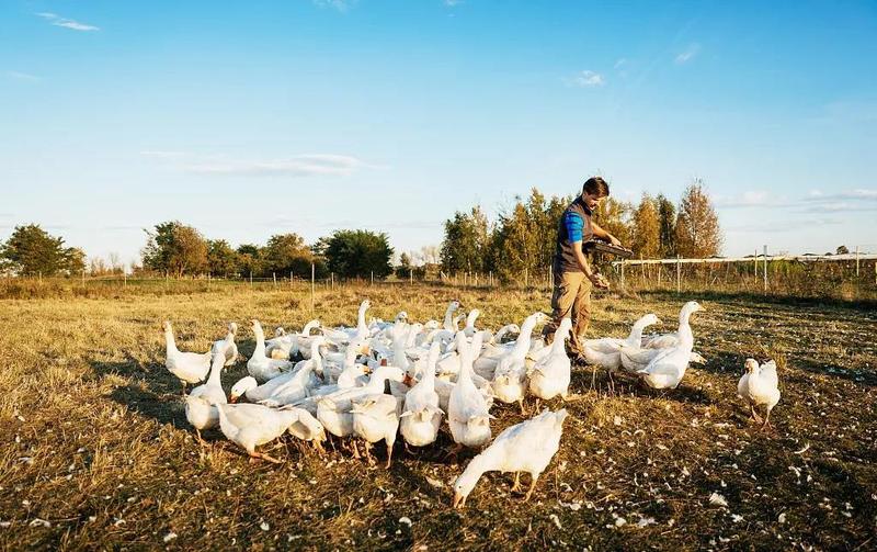 微信图片_20210813192232