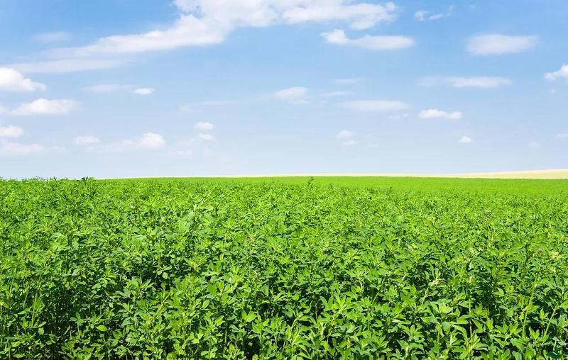 微信图片_20210813192236