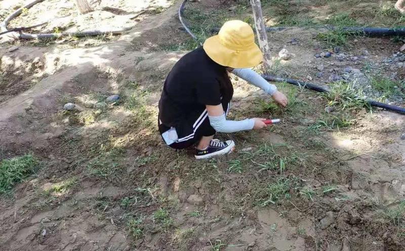 微信图片_20210816113216