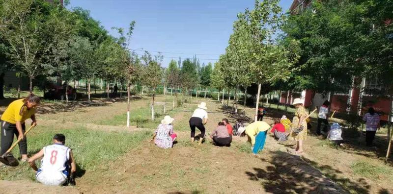 微信图片_20210816113219