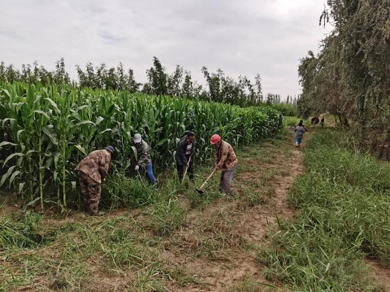 微信图片_20210819105544