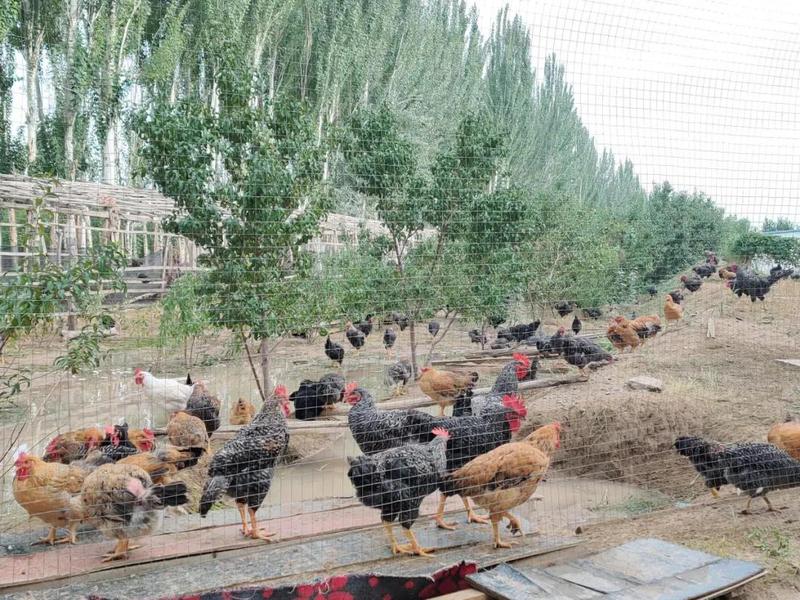 微信图片_20210820162701