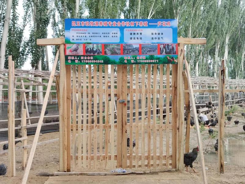 微信图片_20210820162706