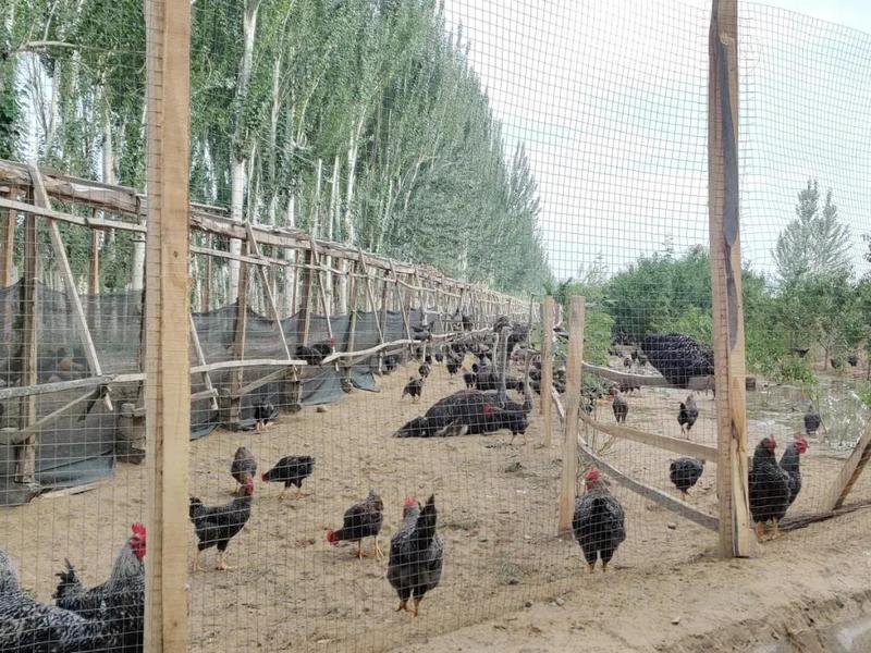 微信图片_20210820162710