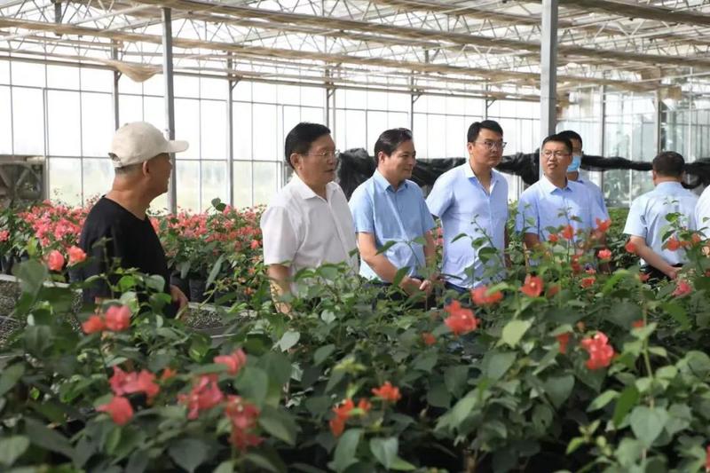 微信图片_20210820173425