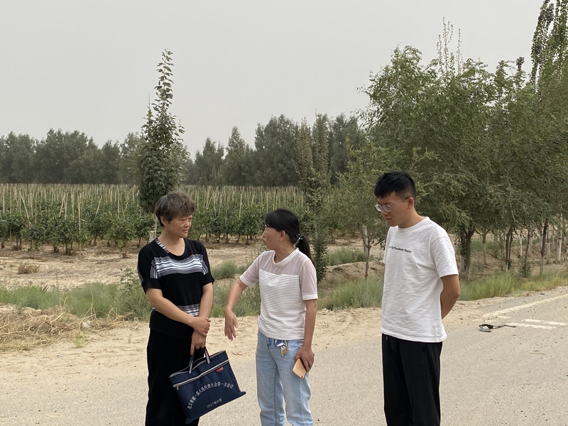 昆玉政协考察防护林建设情况1