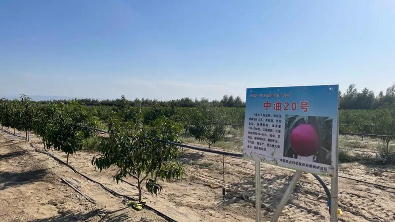 微信图片_20210831160951