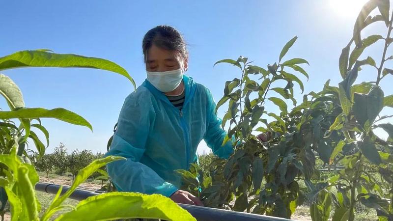 微信图片_20210831160956