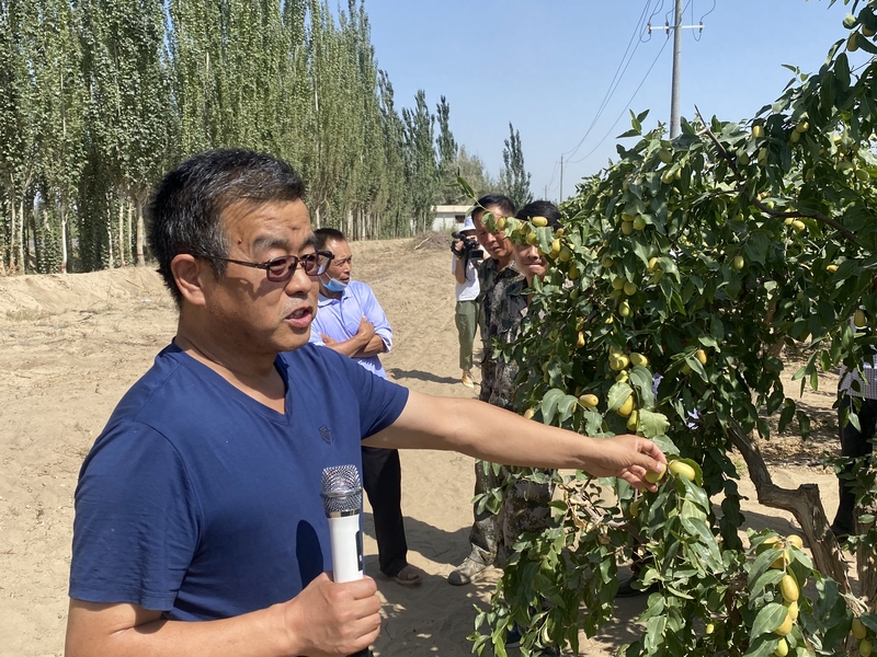 第二师农科所马建江现场会1