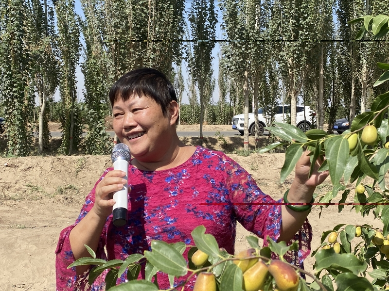 第二师农科所张萍现场会1