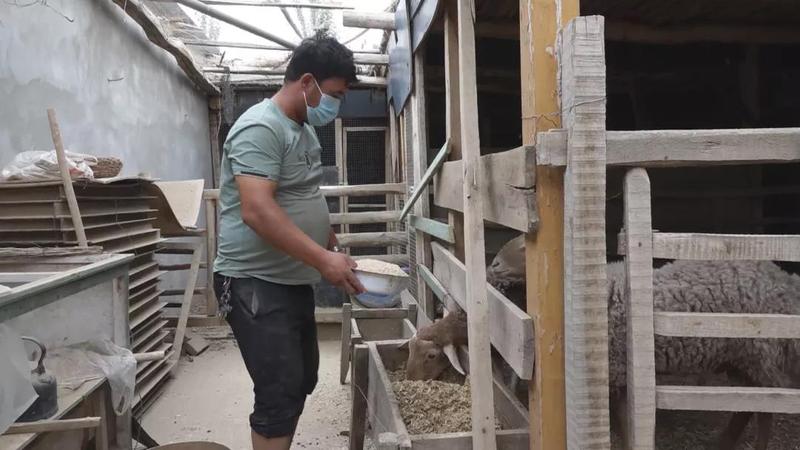 微信图片_20211011153006