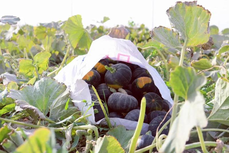 微信图片_20211011153052