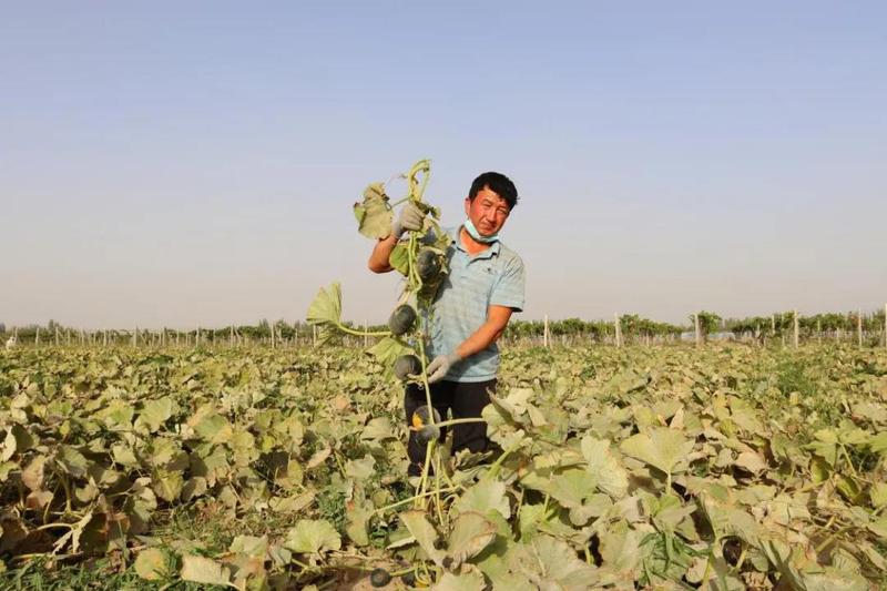 微信图片_20211011153037