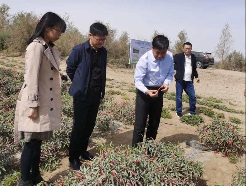 微信图片_20211012152839