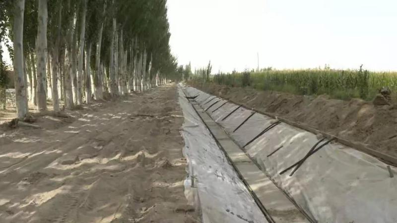 微信图片_20211013161147