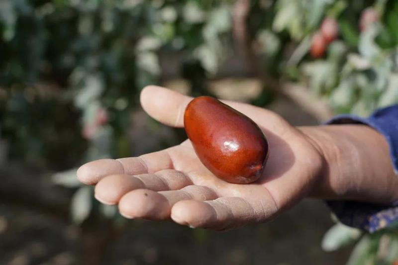 微信图片_20211018154104