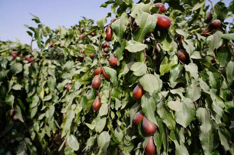 微信图片_20211018154109