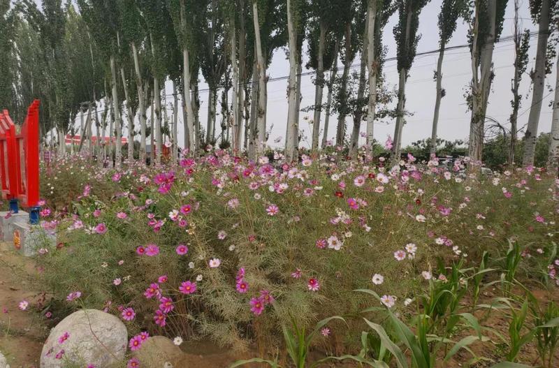 微信图片_20211019154348