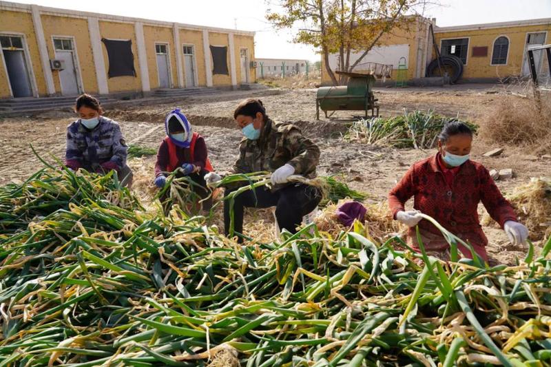 微信图片_20211103105039