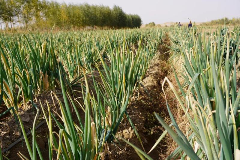 微信图片_20211103105043