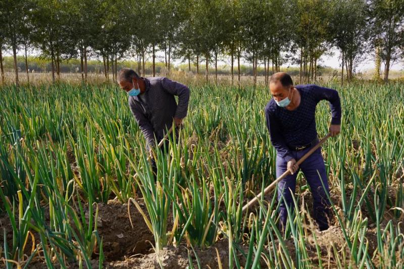 微信图片_20211103105046