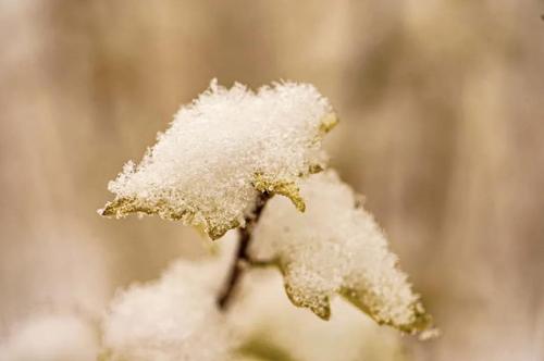 微信图片_20211109100759