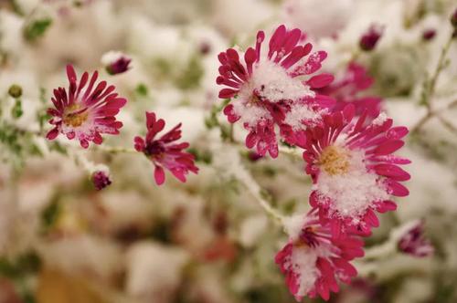 微信图片_20211109100849