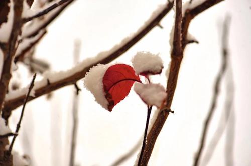 微信图片_20211109100853