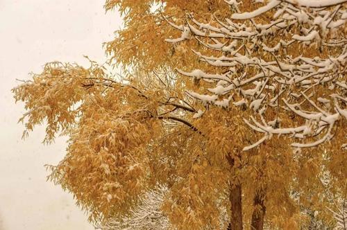 微信图片_20211109100855