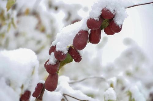 微信图片_20211109100904