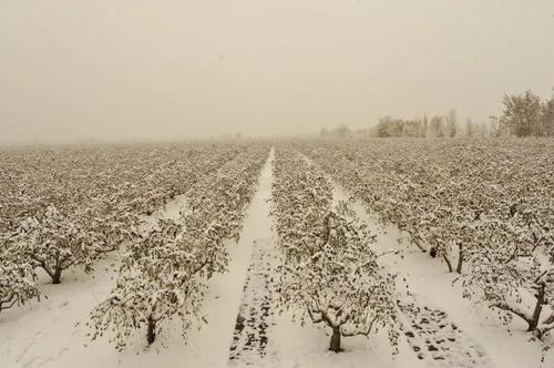 微信图片_20211109100901