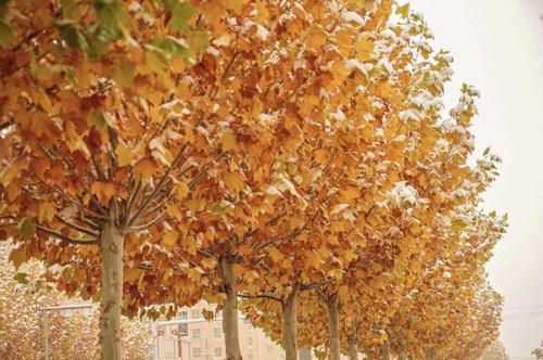 微信图片_20211109100858