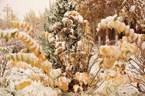 微信图片_20211109100913