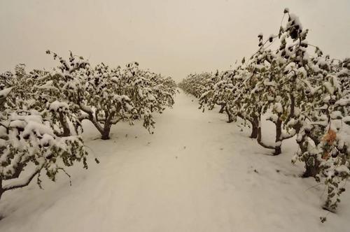 微信图片_20211109100910